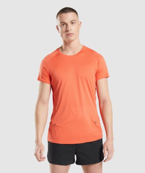 Men's Gymshark Speed Evolve T-Shirts Orange | CA 6015ND